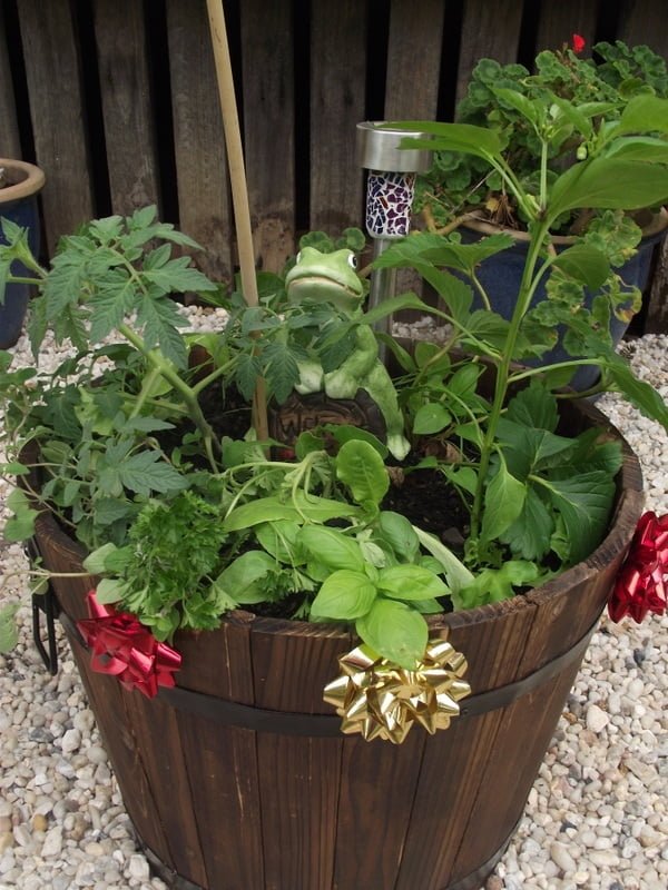 Children will love getting out in the garden with you to create this easy and budget friendly mini gift garden for parents and grandparents this Christmas!
