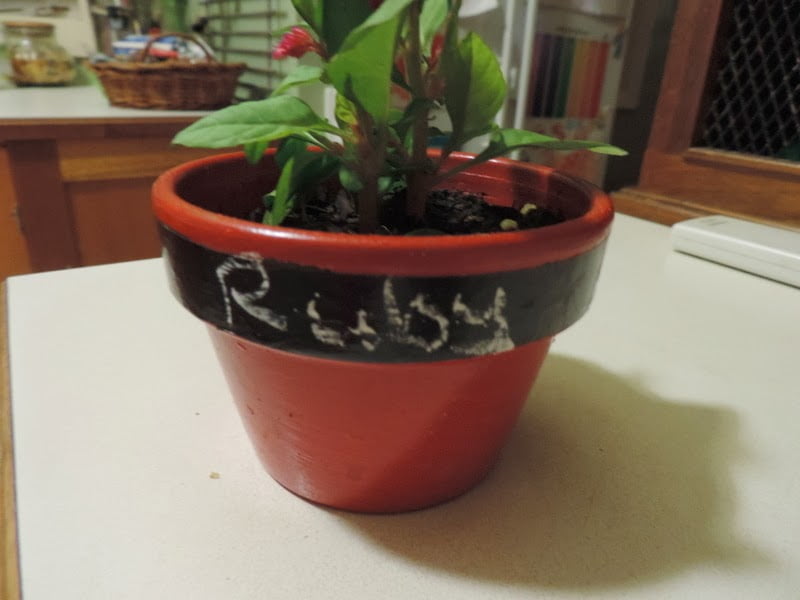 Easy DIY Santa flower gift pots for family - Mummy Musings and Mayhem Get the children out into the garden to create a very special hands on Christmas gift for parents and special family members. DIY Santa plant pots!