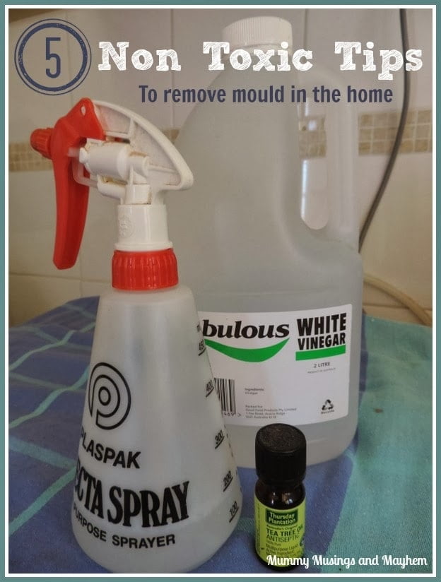 5 Non Toxic tips to remove mould in the home - Mummy Musings and Mayhem