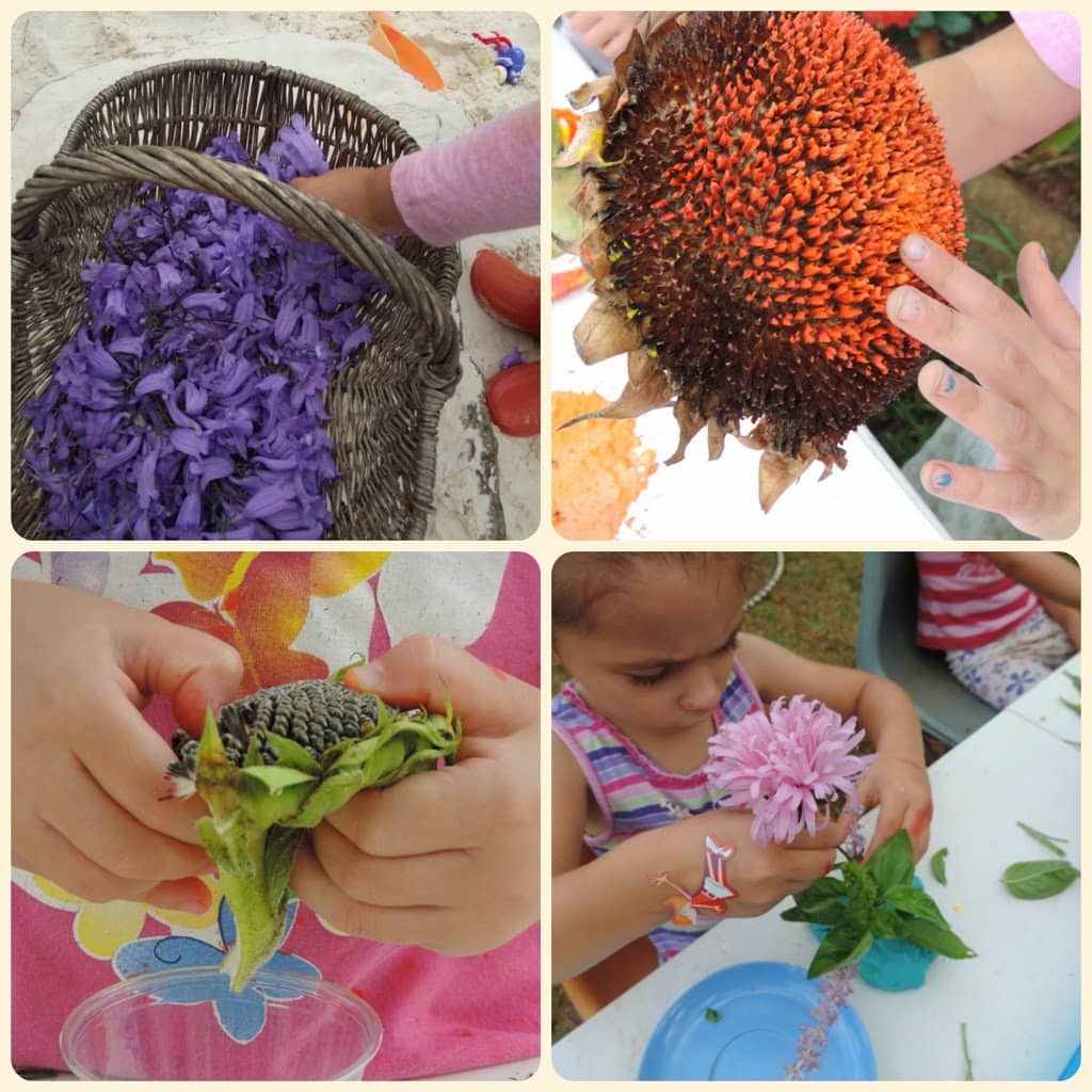 Introducing sustainability practices to toddlers and preschoolers...see more at Mummy Musings and Mayhem.com