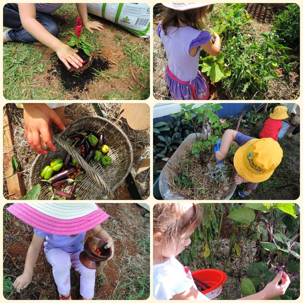 Introducing sustainability practices to toddlers and preschoolers...see more at Mummy Musings and Mayhem.com