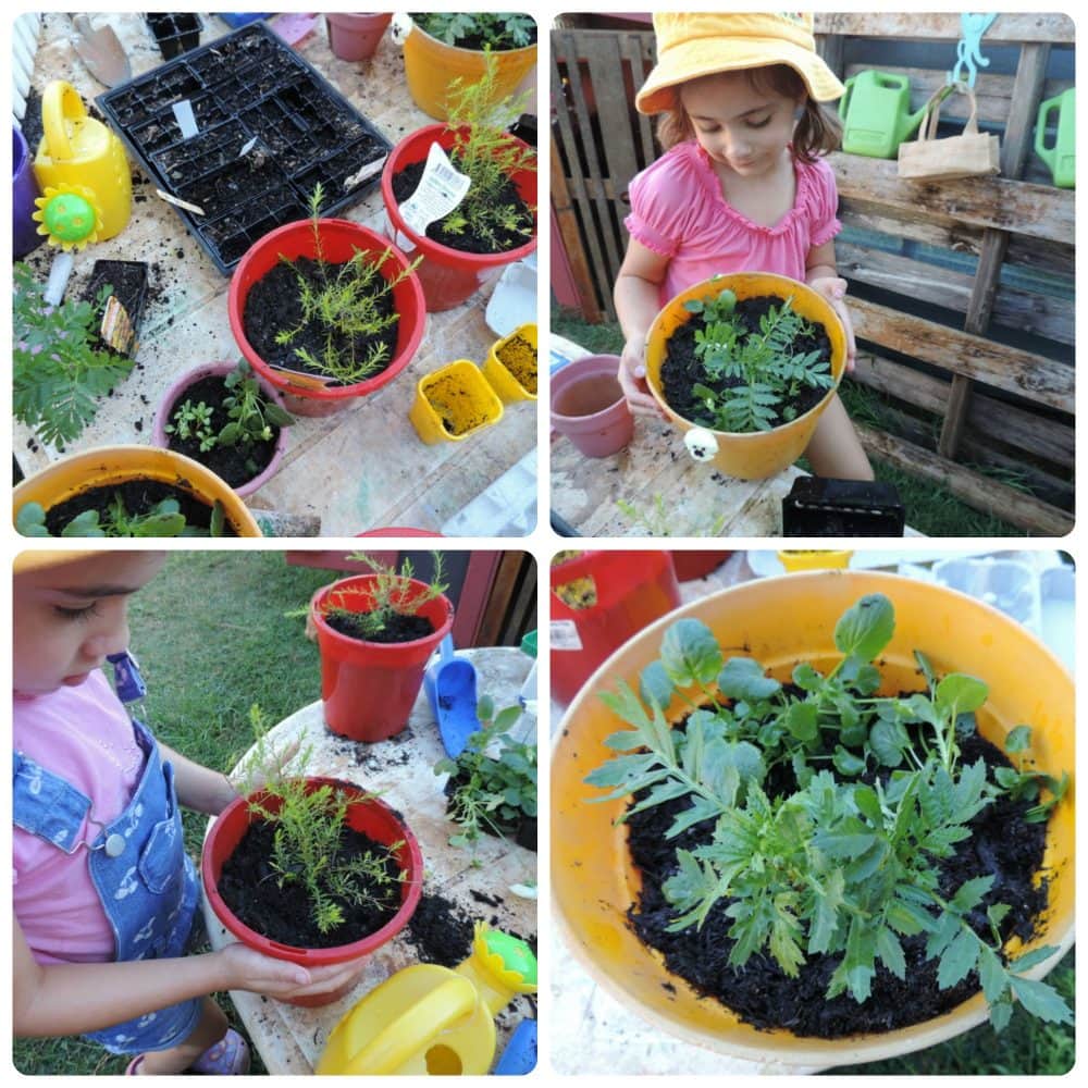 Set up this easy garden shop role play activity for children and watch them develop a love for gardening and outdoor play. Simple play based learning concepts for home educators, parents and early years teachers!