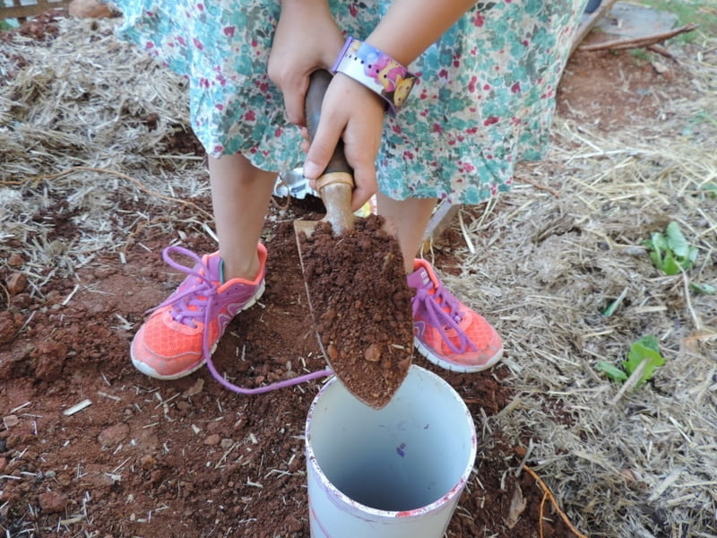 Play Based Learning! Find out how to introduce children to the concepts of sustainability and composting with this easy worm tunnel project for the garden. See all the steps at The Empowered Educator - this is a wonderful sustainable practice activity for homeschool and early childhood educators as well as parents!