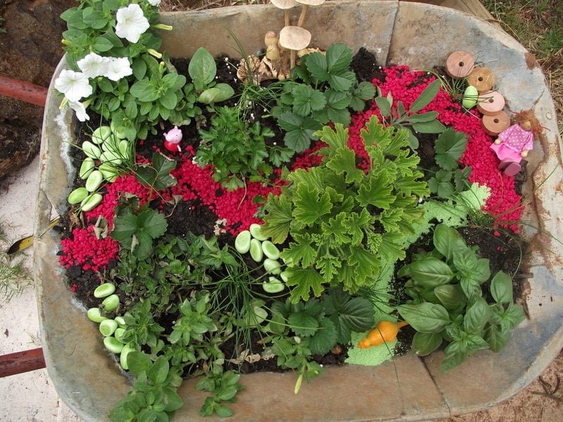 Create sensory small worlds and fairy gardens you can move all around the outdoor play space by upcycling old wheelbarrows. See how to make yours here!