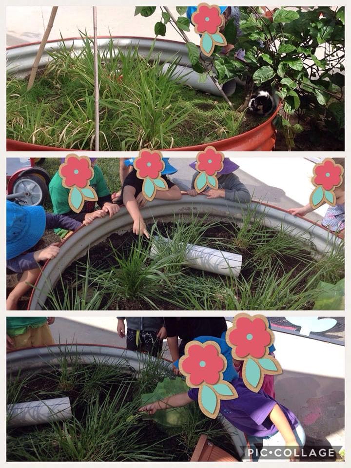 Ideas For Children S Outdoor Play Areas And Activities