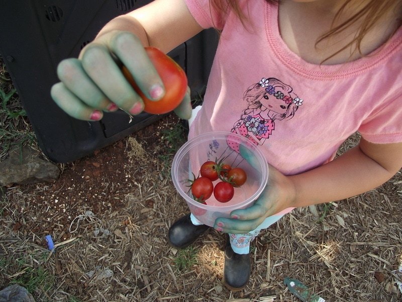 If you want to add more opportunities for nature play to your early learning environments, start with these simple ideas from educators!Parents, early childhood educators and teachers can browse through this huge collection of photo inspiration to encourage playful learning in early childhood environments. #teacherresources #natureplayideas #natureplayactivities #natureplayindoors #preschool #natureplaybackyard #natureplaytoddlers