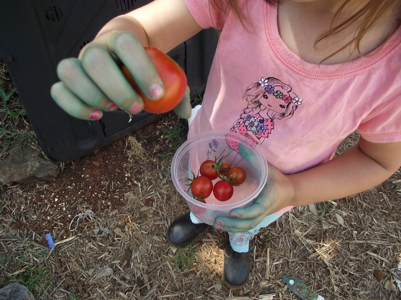 If you want to add more opportunities for nature play to your early learning environments, start with these simple ideas from educators!Parents, early childhood educators and teachers can browse through this huge collection of photo inspiration to encourage playful learning in early childhood environments. #teacherresources #natureplayideas #natureplayactivities #natureplayindoors  #preschool #natureplaybackyard #natureplaytoddlers