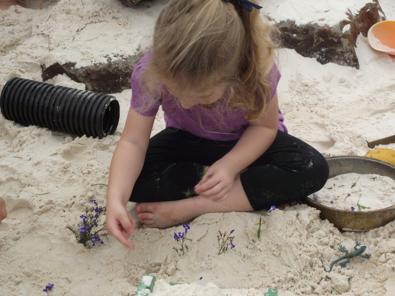 If you want to add more opportunities for nature play to your early learning environments, start with these simple ideas from educators!Parents, early childhood educators and teachers can browse through this huge collection of photo inspiration to encourage playful learning in early childhood environments. #teacherresources #natureplayideas #natureplayactivities #natureplayindoors #preschool #natureplaybackyard #natureplaytoddlers
