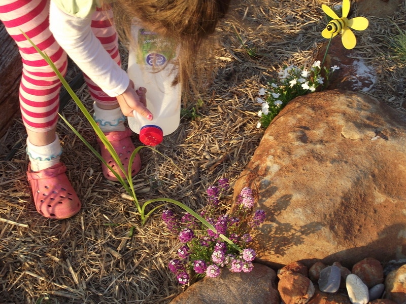 If you want to add more opportunities for nature play to your early learning environments, start with these simple ideas from educators!Parents, early childhood educators and teachers can browse through this huge collection of photo inspiration to encourage playful learning in early childhood environments. #teacherresources #natureplayideas #natureplayactivities #natureplayindoors #preschool #natureplaybackyard #natureplaytoddlers