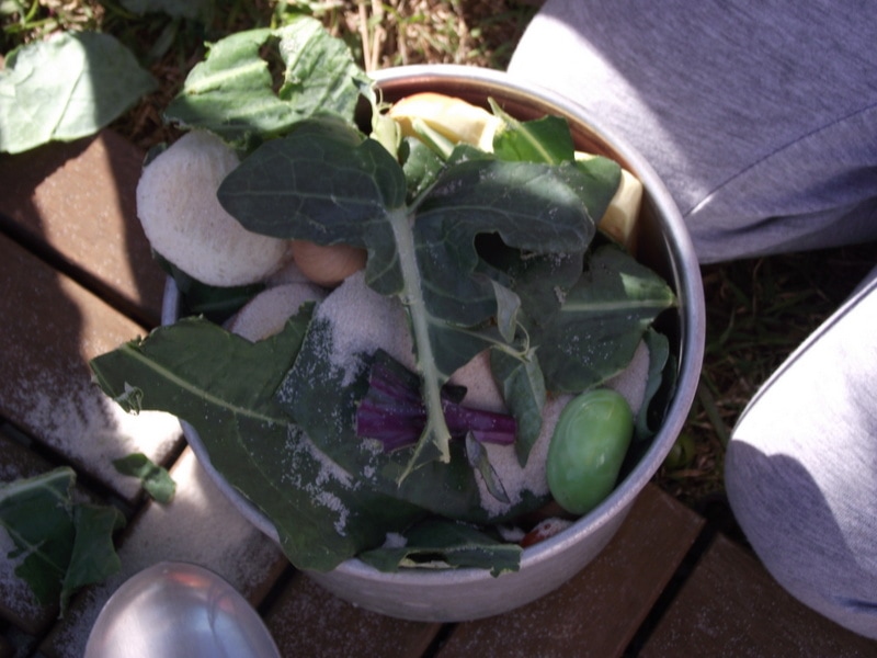 If you want to add more opportunities for nature play to your early learning environments, start with these simple ideas from educators!Parents, early childhood educators and teachers can browse through this huge collection of photo inspiration to encourage playful learning in early childhood environments. #teacherresources #natureplayideas #natureplayactivities #natureplayindoors #preschool #natureplaybackyard #natureplaytoddlers