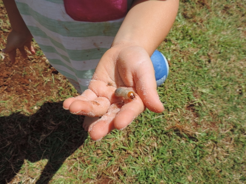 If you want to add more opportunities for nature play to your early learning environments, start with these simple ideas from educators!Parents, early childhood educators and teachers can browse through this huge collection of photo inspiration to encourage playful learning in early childhood environments. #teacherresources #natureplayideas #natureplayactivities #natureplayindoors #preschool #natureplaybackyard #natureplaytoddlers
