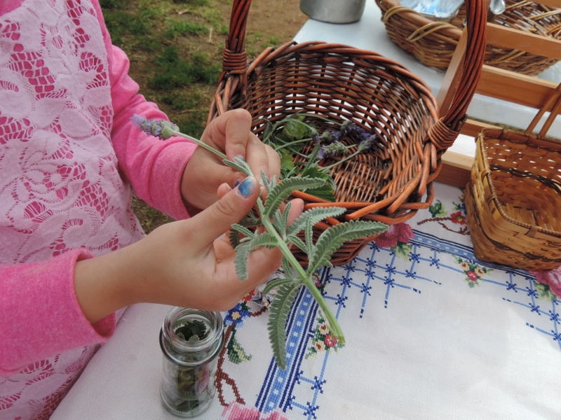 If you want to add more opportunities for nature play to your early learning environments, start with these simple ideas from educators!Parents, early childhood educators and teachers can browse through this huge collection of photo inspiration to encourage playful learning in early childhood environments. #teacherresources #natureplayideas #natureplayactivities #natureplayindoors  #preschool #natureplaybackyard #natureplaytoddlers