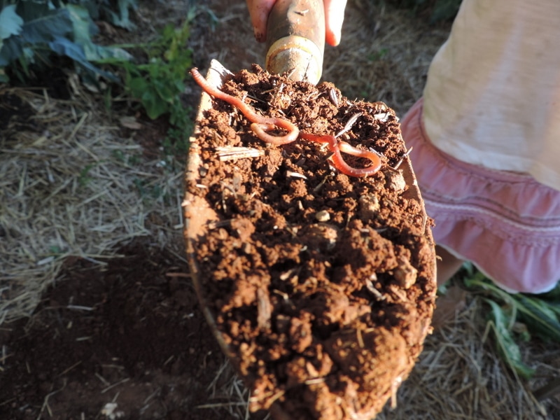 If you want to add more opportunities for nature play to your early learning environments, start with these simple ideas from educators!Parents, early childhood educators and teachers can browse through this huge collection of photo inspiration to encourage playful learning in early childhood environments. #teacherresources #natureplayideas #natureplayactivities #natureplayindoors #preschool #natureplaybackyard #natureplaytoddlers
