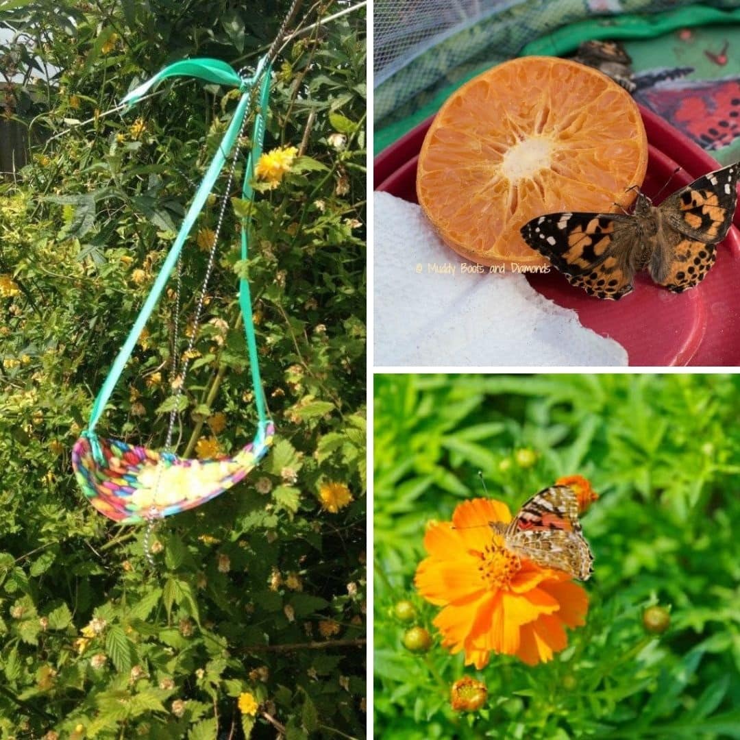 Encourage outdoor learning with living things using these simple project and play ideas for educators, teachers and parents!