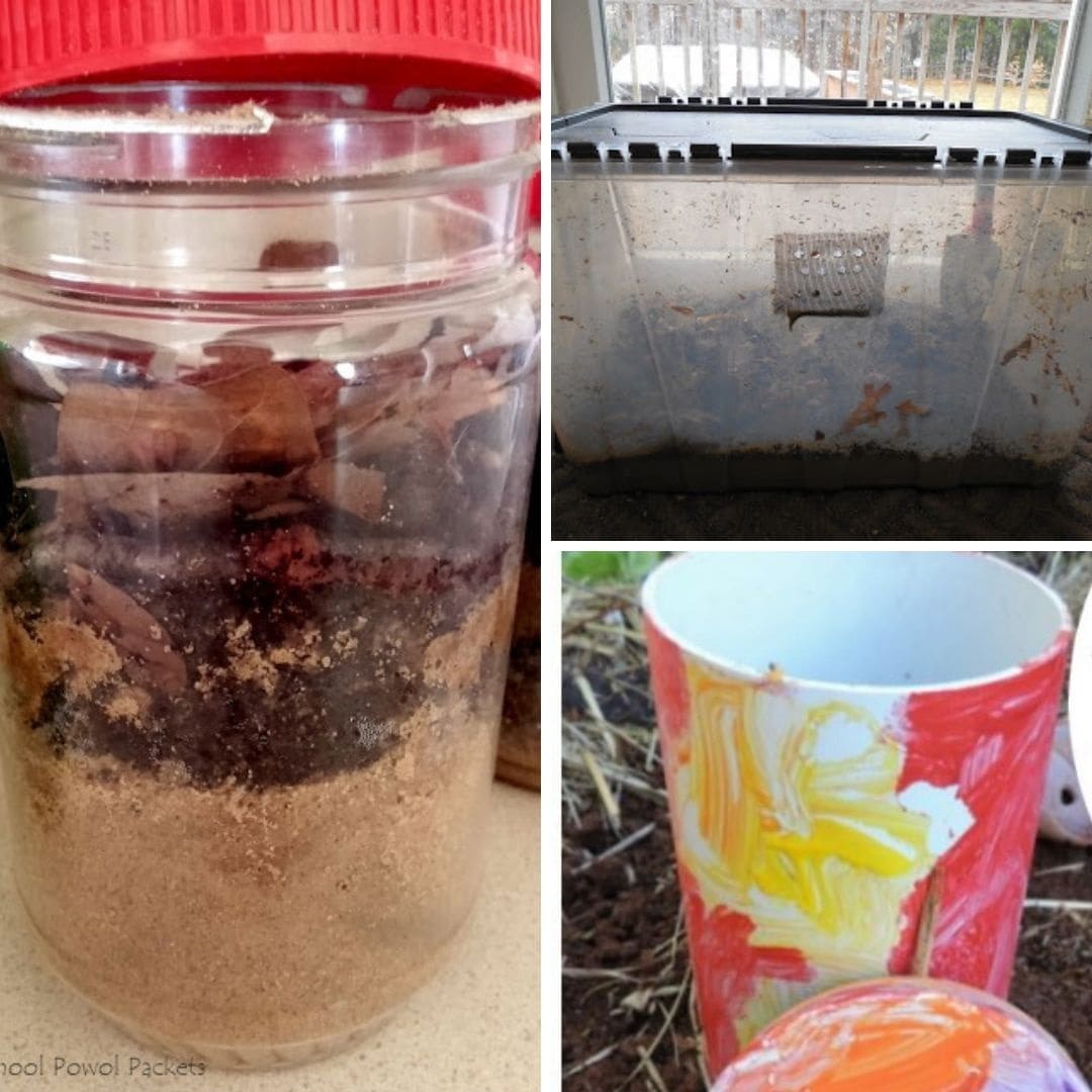 Encourage outdoor learning with living things using these simple project and play ideas for educators, teachers and parents!