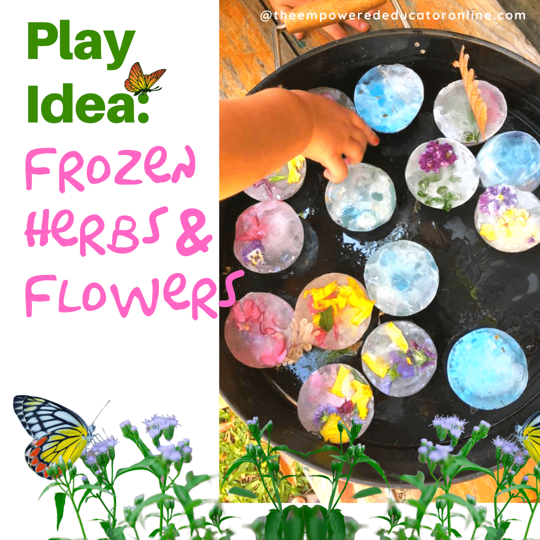 Be inspired to set up invitations to play and learn using simple materials from nature with this collection of photos and ideas from early years educators!