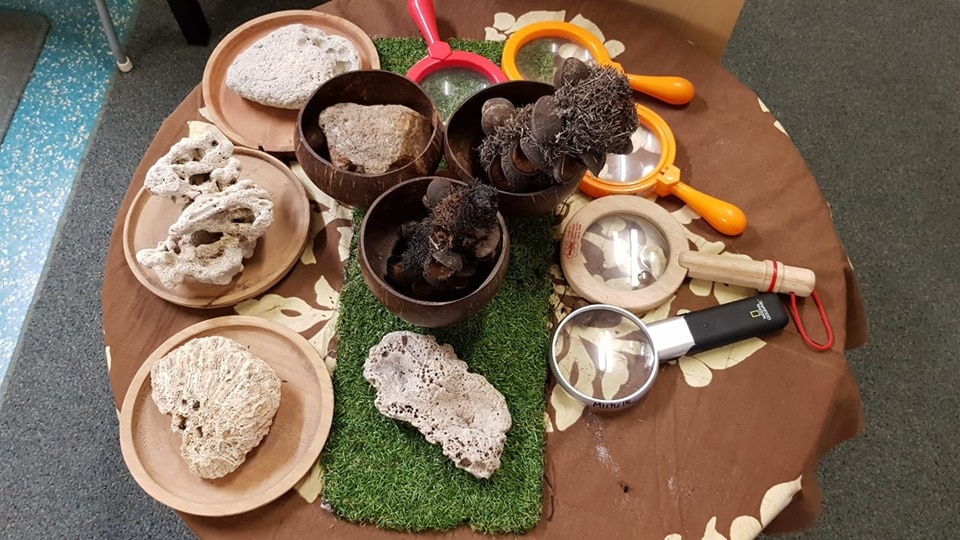 Be inspired to set up invitations to play and learn using simple materials from nature with this collection of photos and ideas from early years educators!