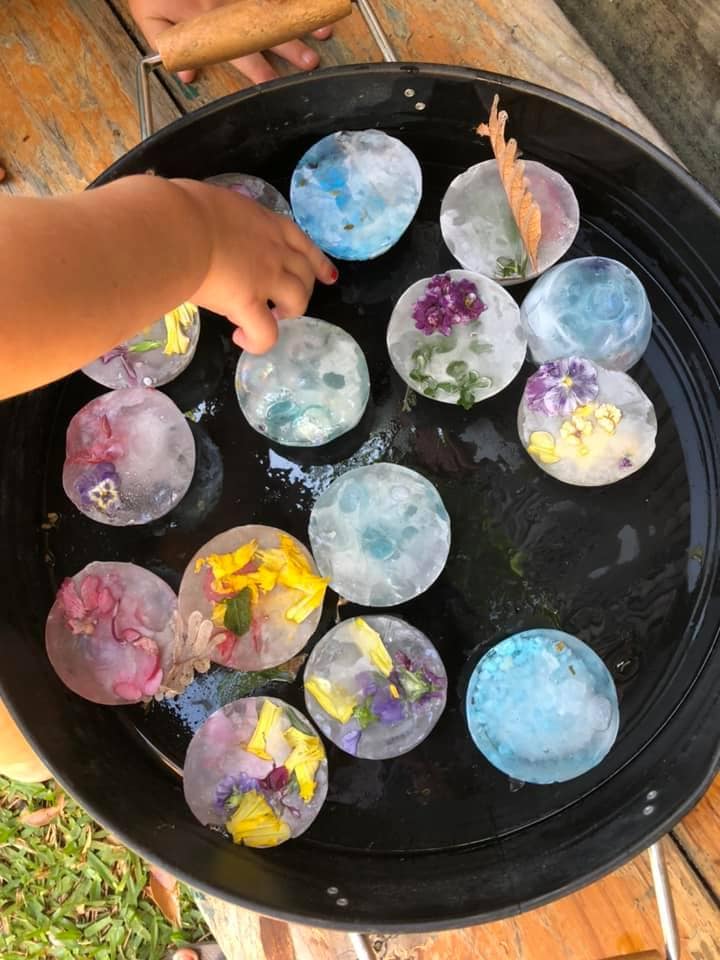 flowers and herbs in ice 