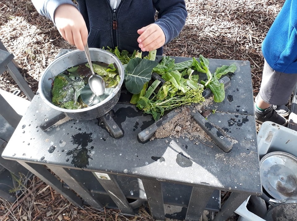 Be inspired to set up invitations to play and learn using simple materials from nature with this collection of photos and ideas from early years educators!