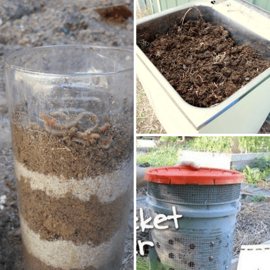 Making a Worm Farm With Children Eco Fun and Early Learning