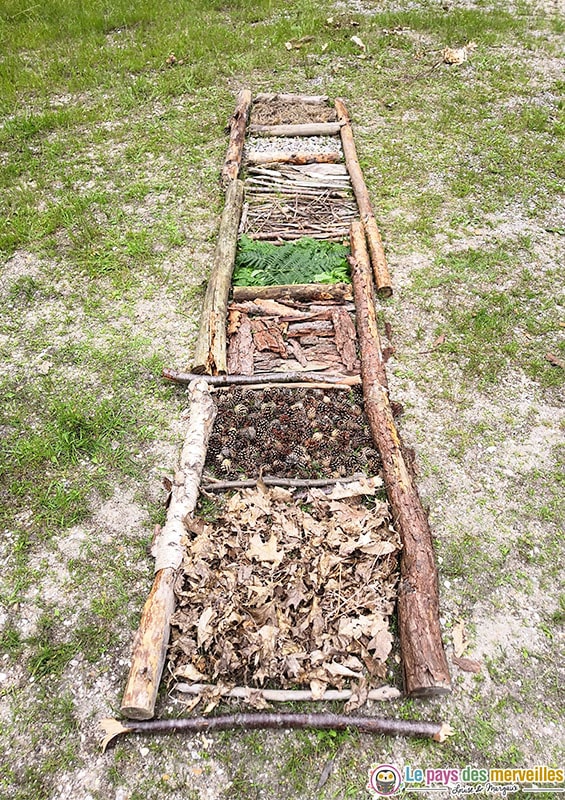 Sensory path - National Children's Gardening Week