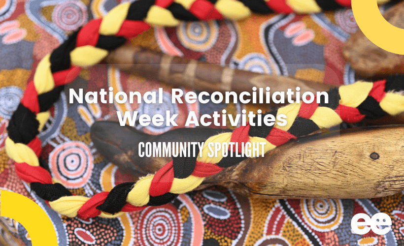 Educator Invitations and Provocations for early learning - Ideas for Bee Week, National Reconciliation Week, Pirates,