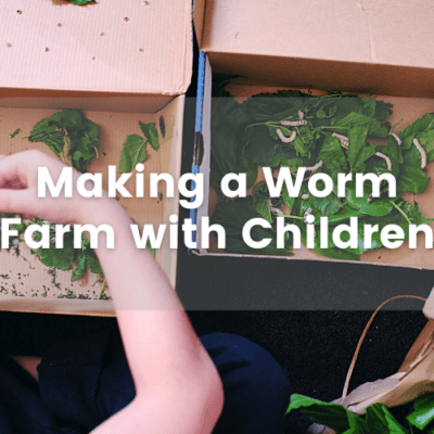 Making A Worm Farm With Children – Inspiration & Ideas