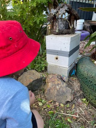 bee observation Find inspiration with this collection of outdoor activities, invitations and play ideas shared by educators.