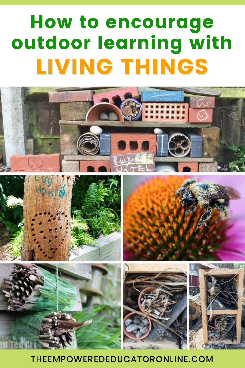 How to Encourage Outdoor Learning with Living Things