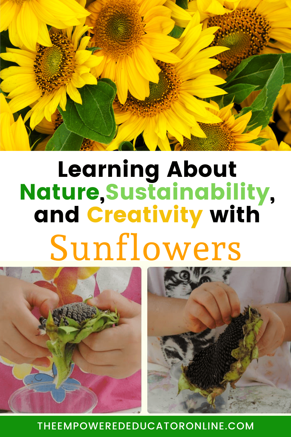Learning through Sunflowers