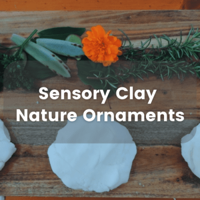 Sensory Clay Nature Ornaments