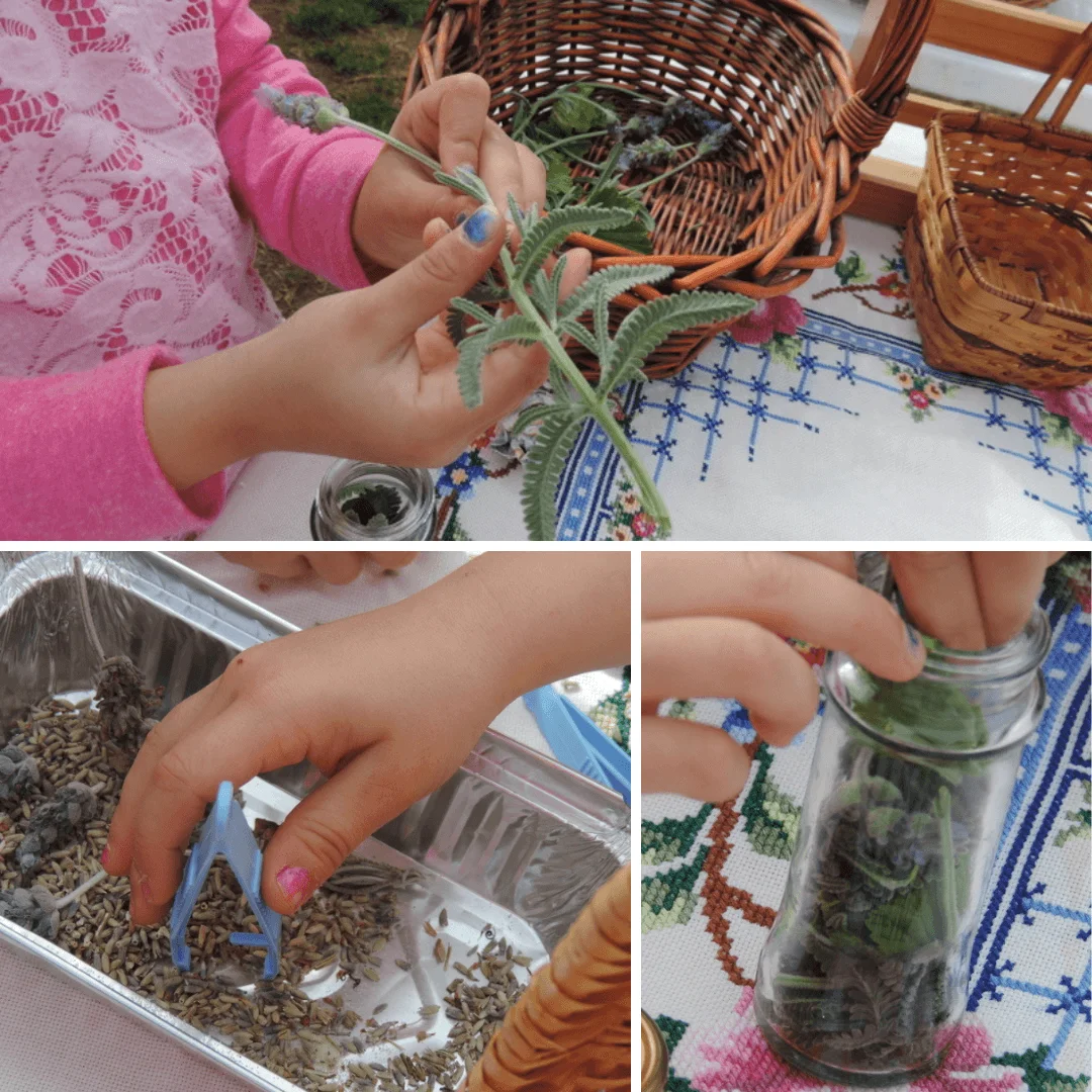 child making lavender potion perfume